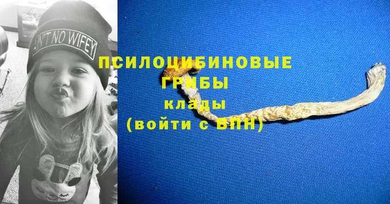 Псилоцибиновые грибы ЛСД  Велиж 